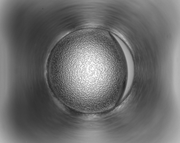 X0000088841042200706211829