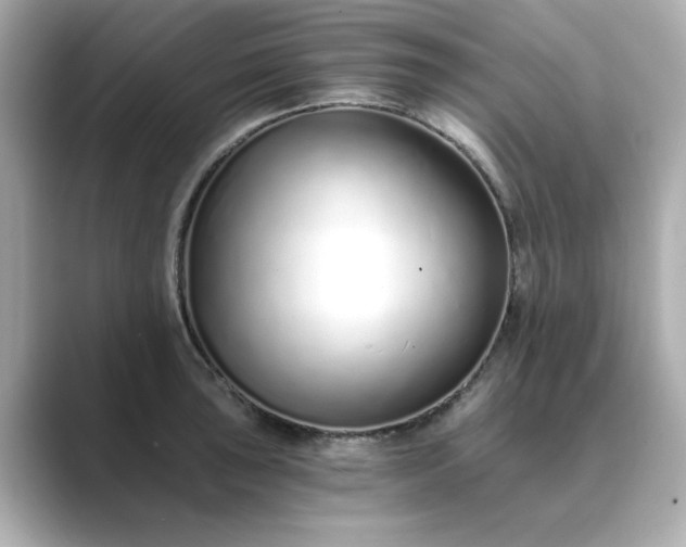 X0000088841043200706211829