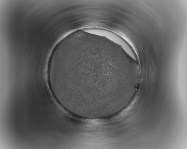 X0000088841045200706211829