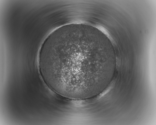 X0000088841046200706211829