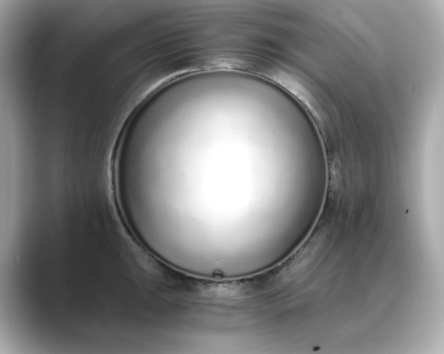 X0000088841047200706211829