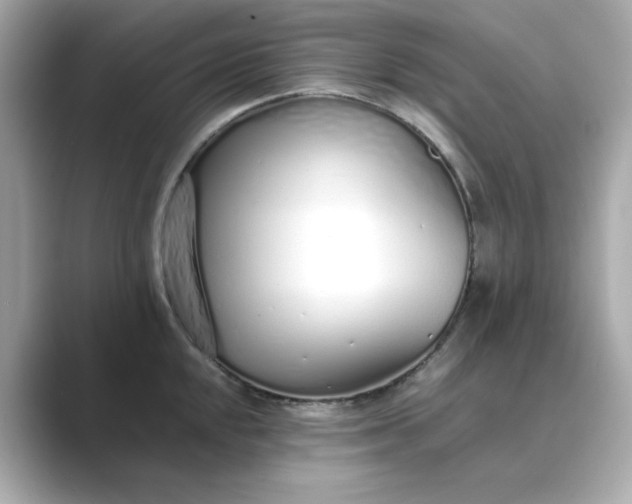 X0000088841048200706211829