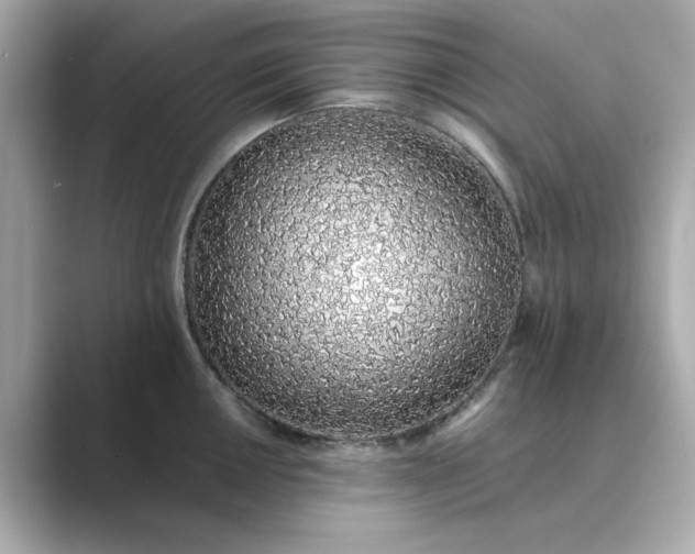 X0000088841050200706211829