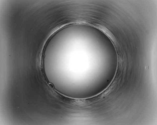 X0000088841052200706211829