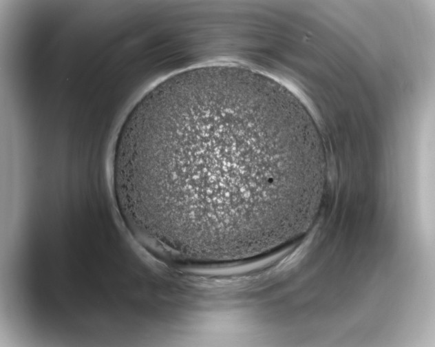 X0000088841054200706211829