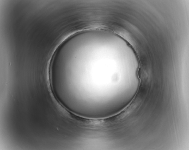 X0000088841055200706211829