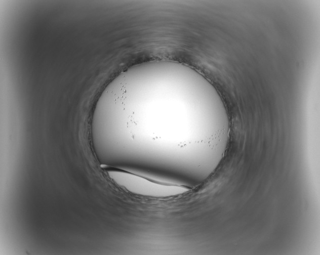 X0000088841057200706211829