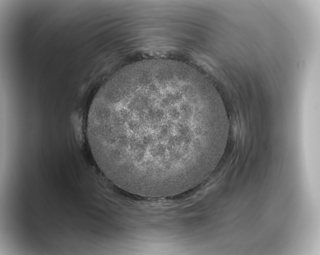 X0000088841060200706211829