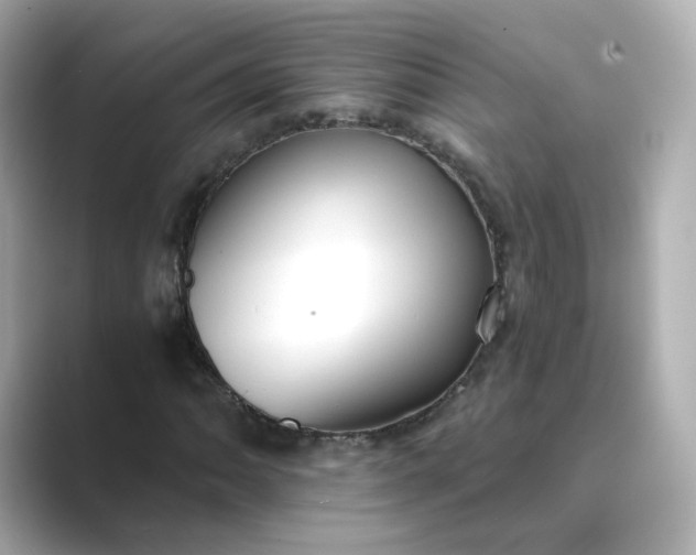 X0000088841062200706211829