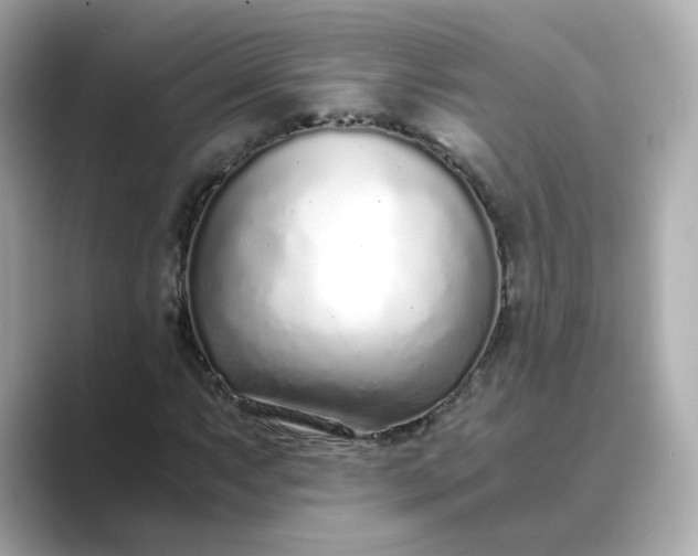 X0000088841063200706211829