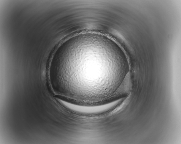 X0000088841065200706211829