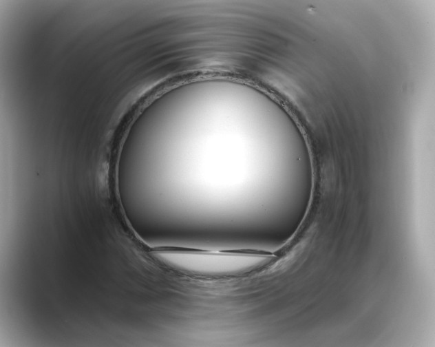 X0000088841066200706211829