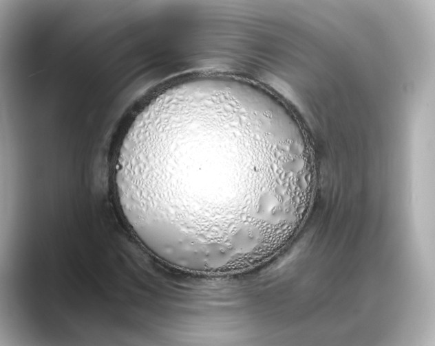 X0000088841067200706211829