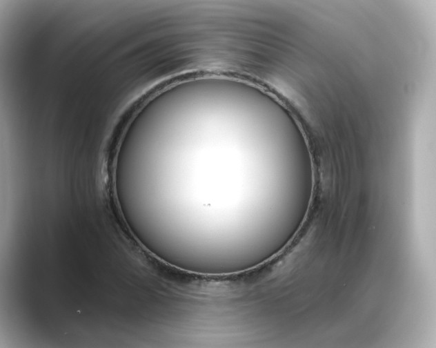 X0000088841070200706211829