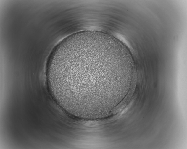 X0000088841071200706211829