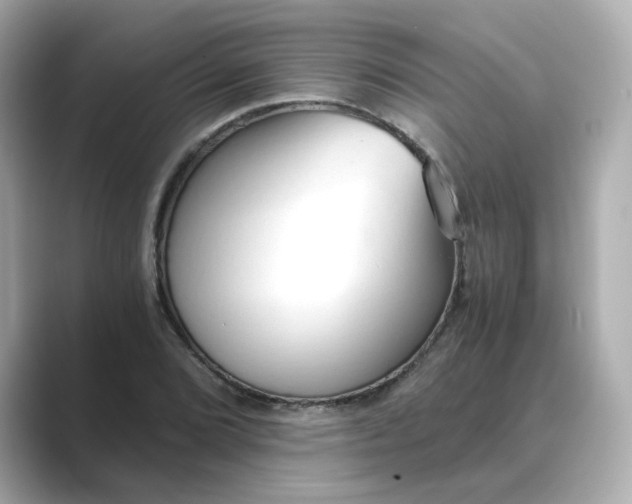 X0000088841072200706211829