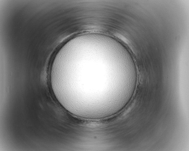 X0000088841074200706211829