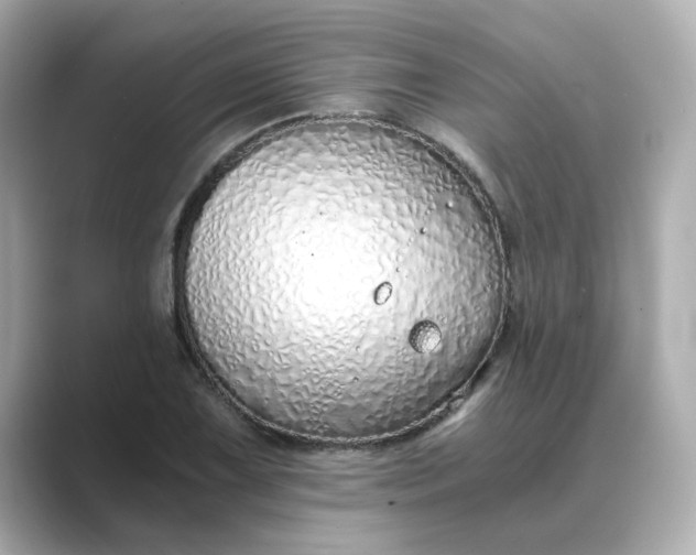 X0000088841075200706211829