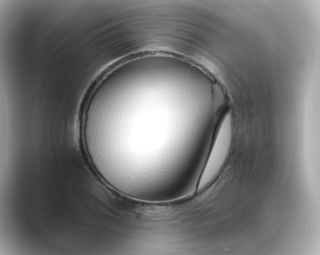 X0000088841076200706211829