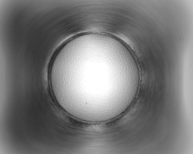 X0000088841078200706211829