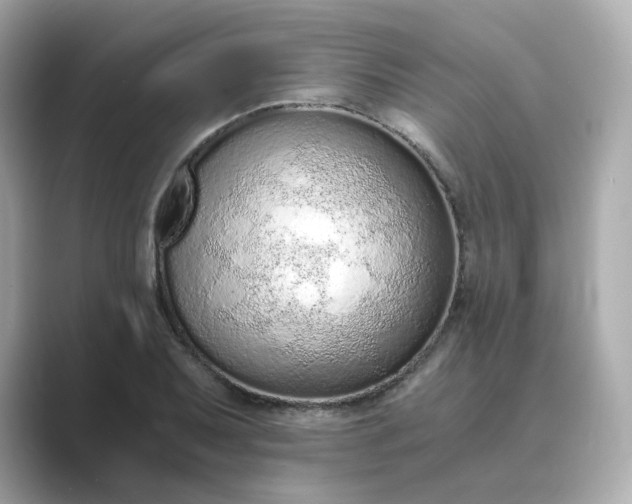 X0000088841079200706211829