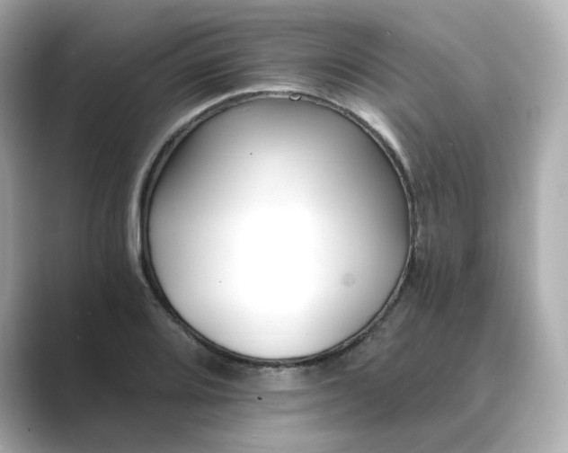 X0000088841080200706211829