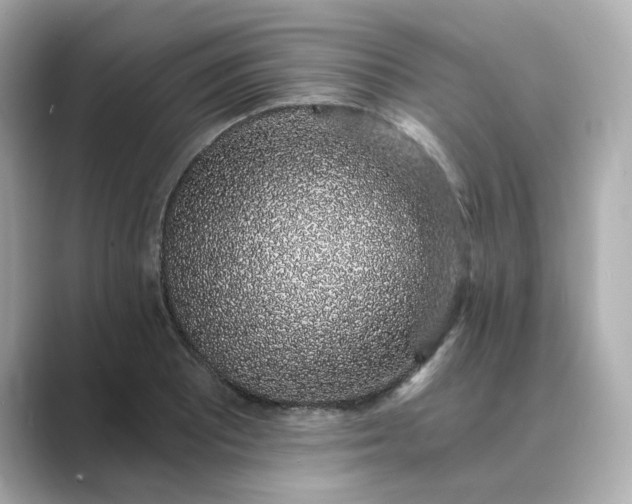 X0000088841081200706211829