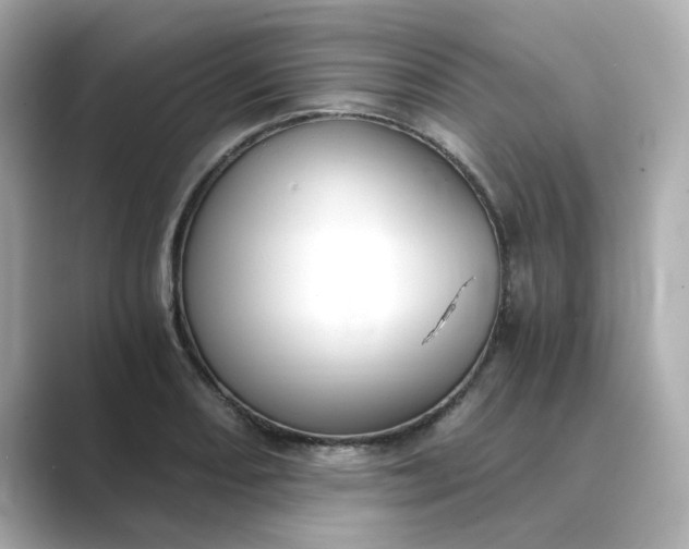 X0000088841082200706211829