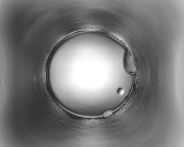 X0000088841083200706211829