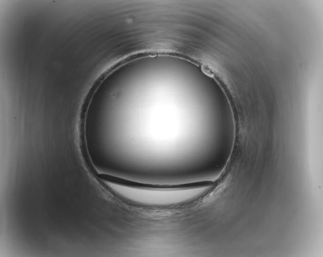 X0000088841085200706211829