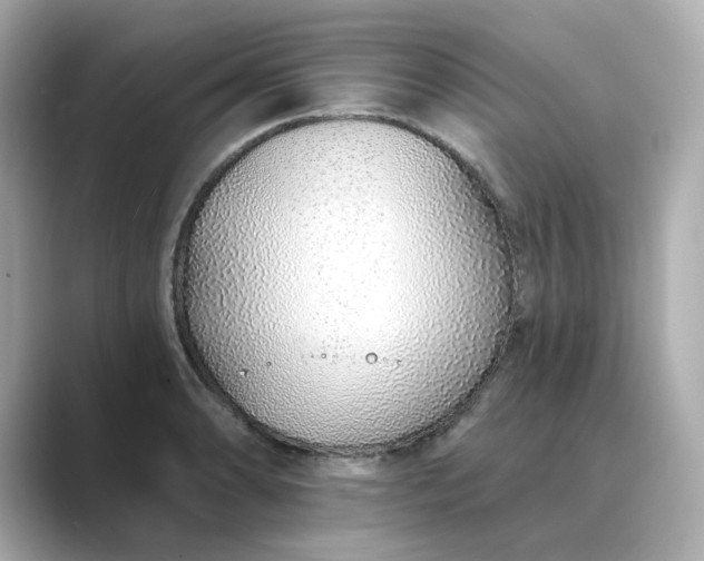 X0000088841086200706211829