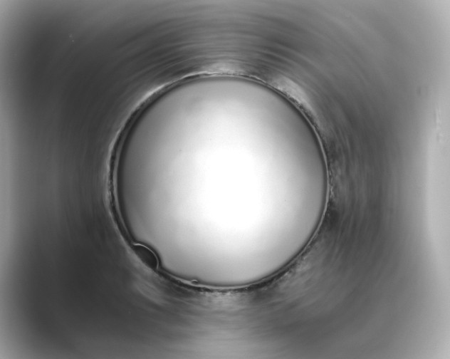 X0000088841087200706211829