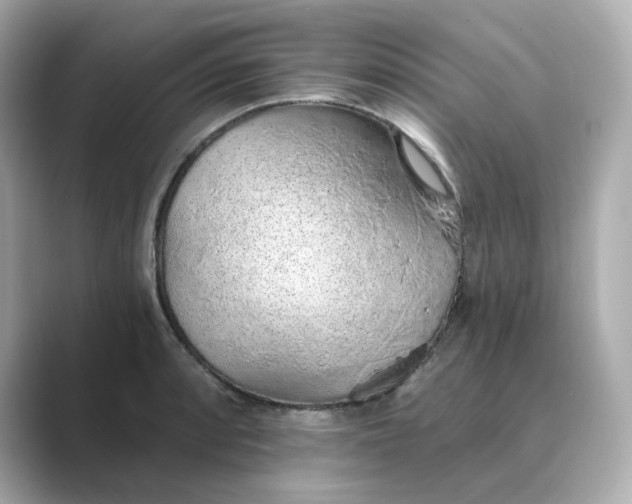 X0000088841088200706211829