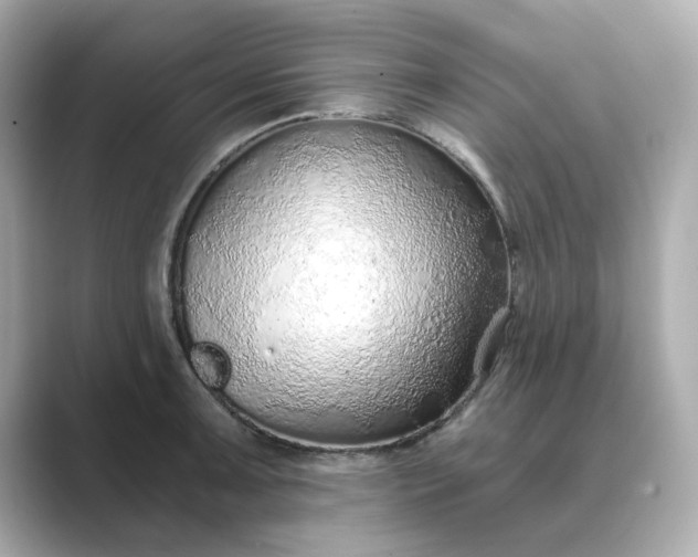 X0000088841091200706211829