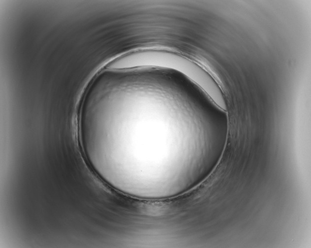 X0000088841092200706211829