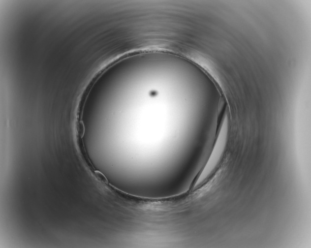 X0000088841093200706211829