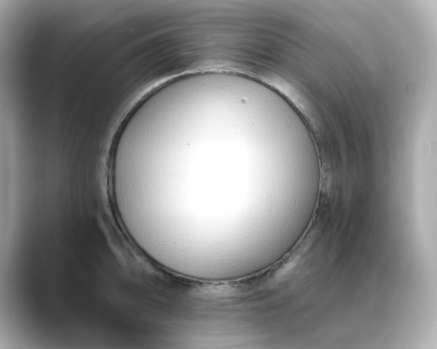 X0000088841094200706211828