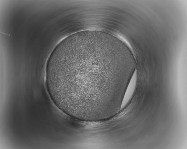 X0000088841095200706211828