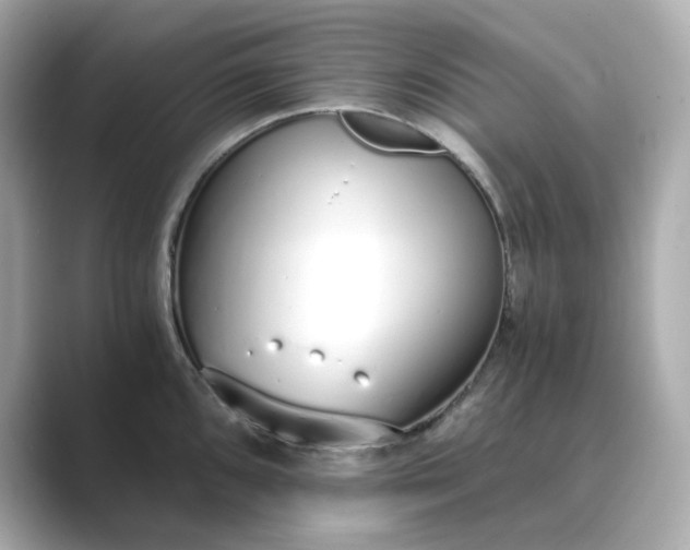 X0000088841096200706211828