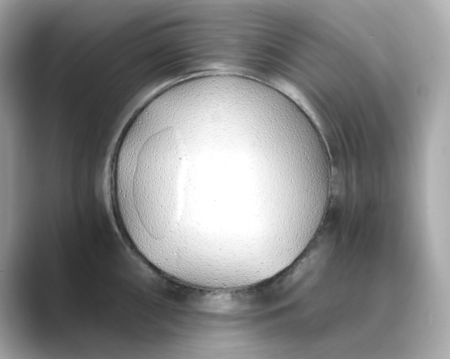 X0000088841098200706211828