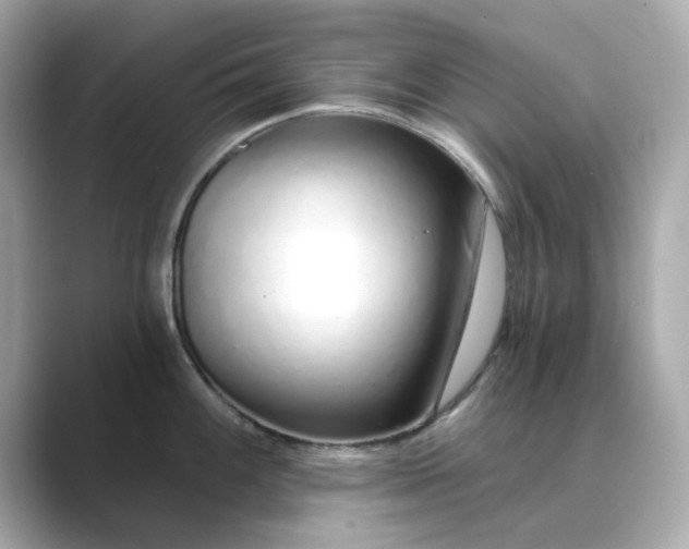 X0000088841100200706211828