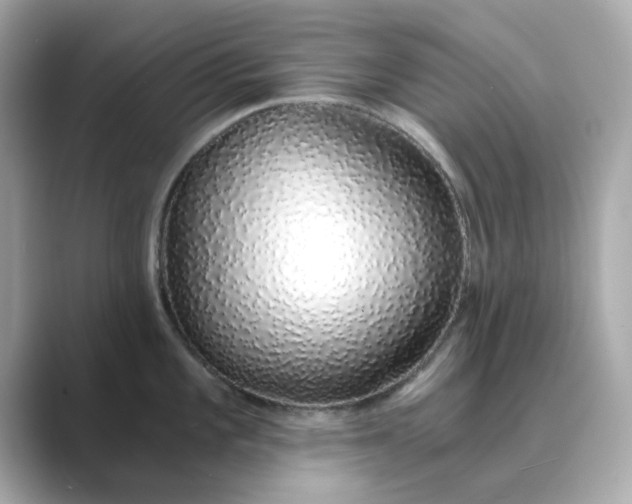 X0000088841101200706211828