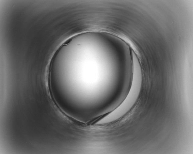 X0000088841102200706211828