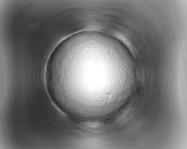 X0000088841103200706211828