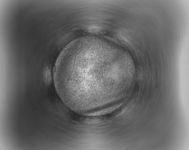 X0000088841106200706211828