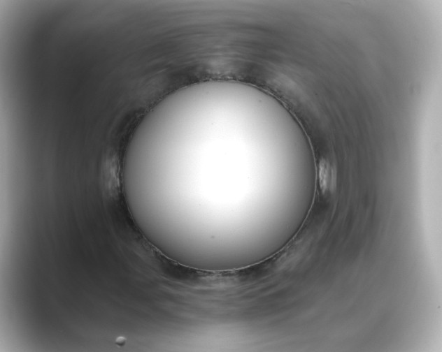 X0000088841107200706211828