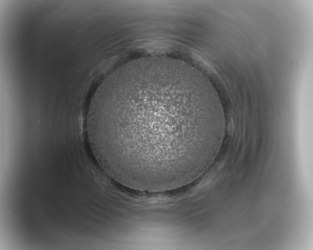 X0000088841108200706211828