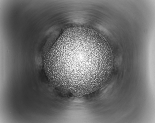 X0000088841110200706211828