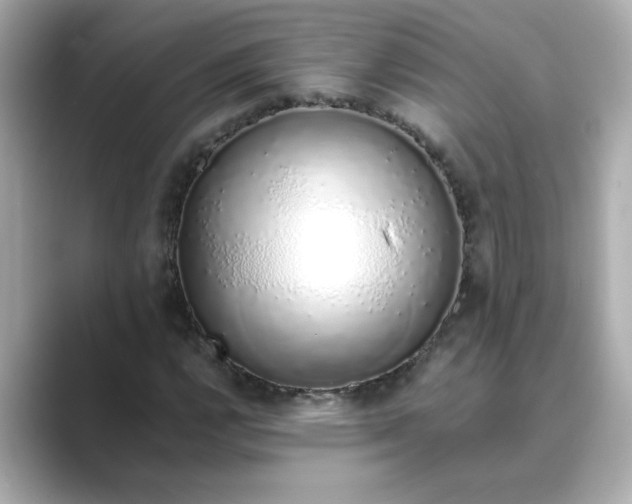 X0000088841112200706211828