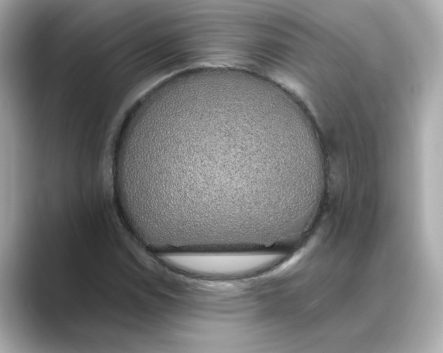 X0000088841114200706211828